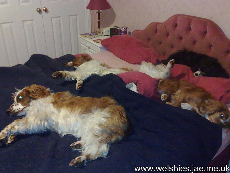 2011-01-06 02.jpg - Is it really time to get up?